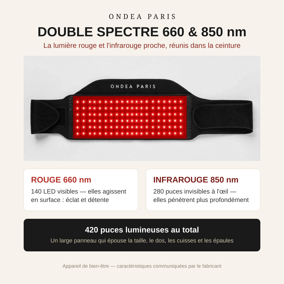 Ceinture de Luminothérapie 140 LED, Lumière Rouge 660 nm et Infrarouge 850 nm